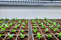 Sustainable & Organic Farming Solutions